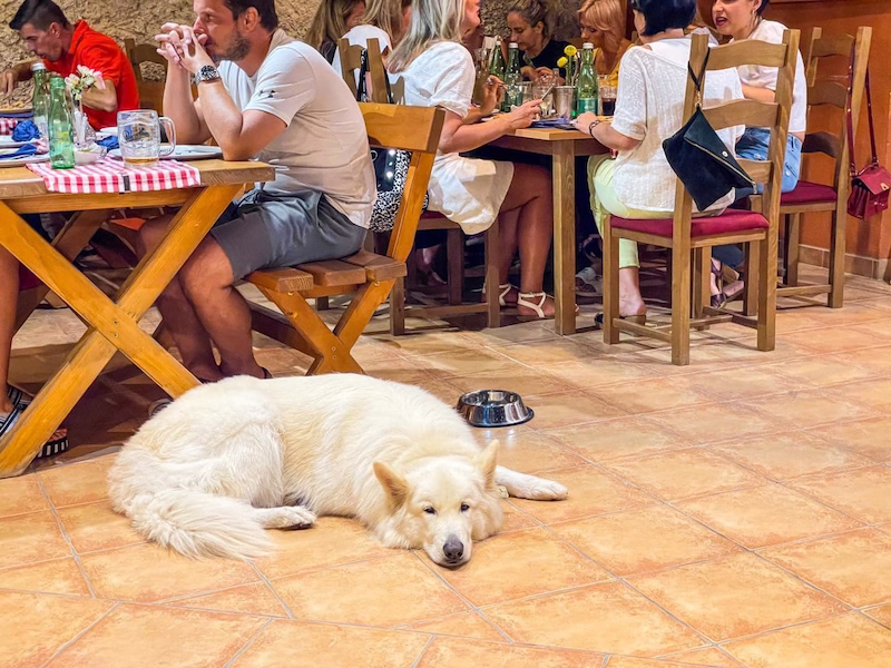 Atmosfera u Pizzeriji Beštek